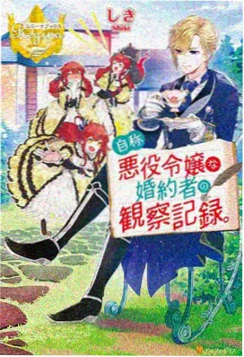 雪国航迹动漫海报